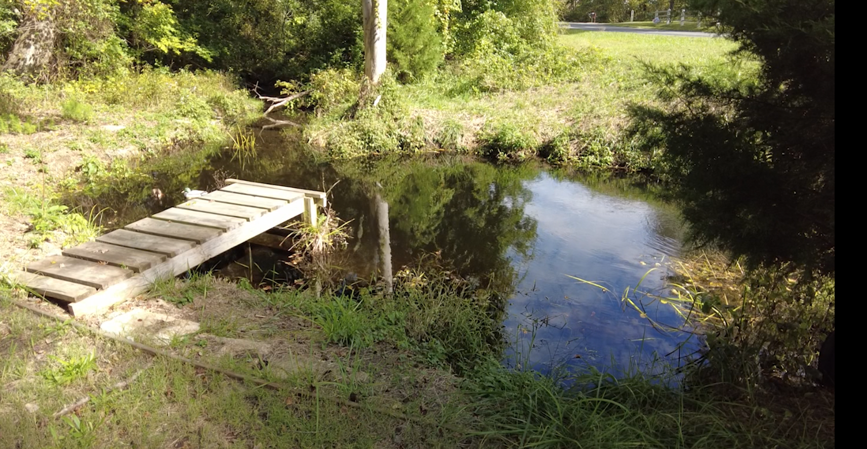 Stream